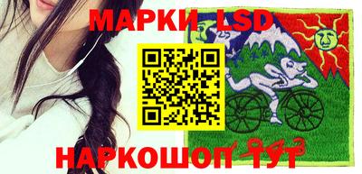 стафф Краснодар